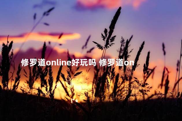 修罗道online好玩吗 修罗道online手游